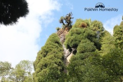 Ghoom rock near Lepchajagat
