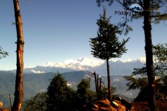 Mt. Kanchenjungha view point near Pakhrin homestay