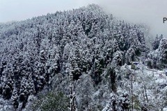 Snowfall at Lepchajagat