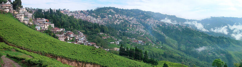 Darjeeling